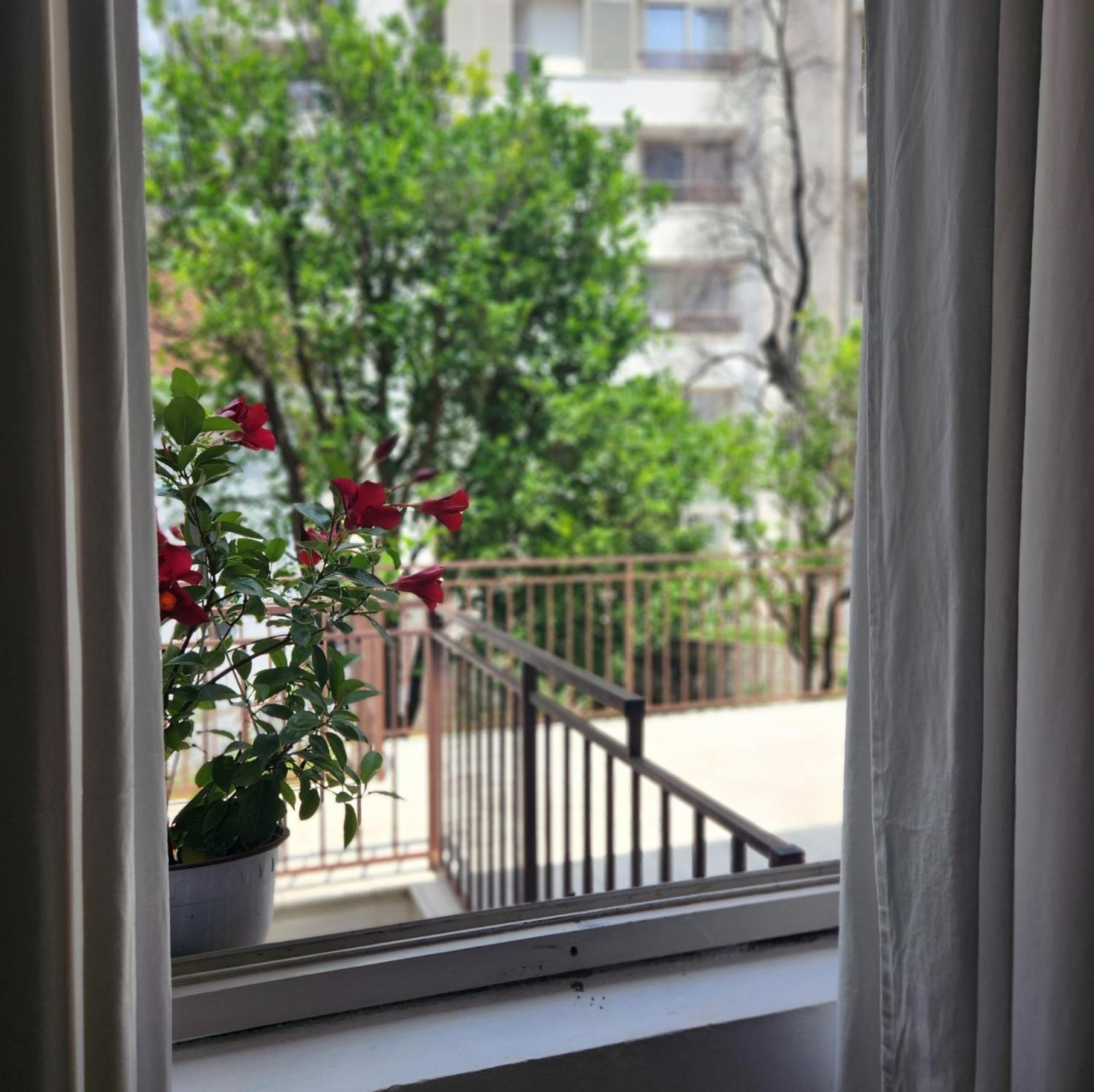 Bela Kuca Studio Apartments-Na Korak Do Mora-A Step To The Sea 라파일로비치 외부 사진